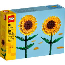 40524 GIRASOLI - toysvaldichiana.it