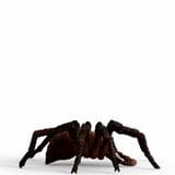 Schleich Aragog toysvaldichiana.it 