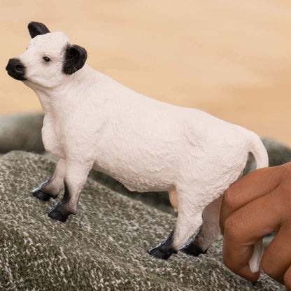 Mucca Galloway Schleich toysvaldichiana.it 