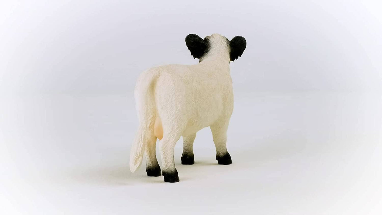 Mucca Galloway Schleich toysvaldichiana.it 