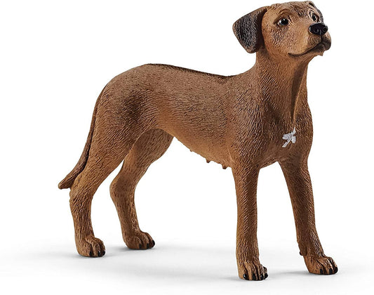 Rhodesian Ridgeback Schleich toysvaldichiana.it 