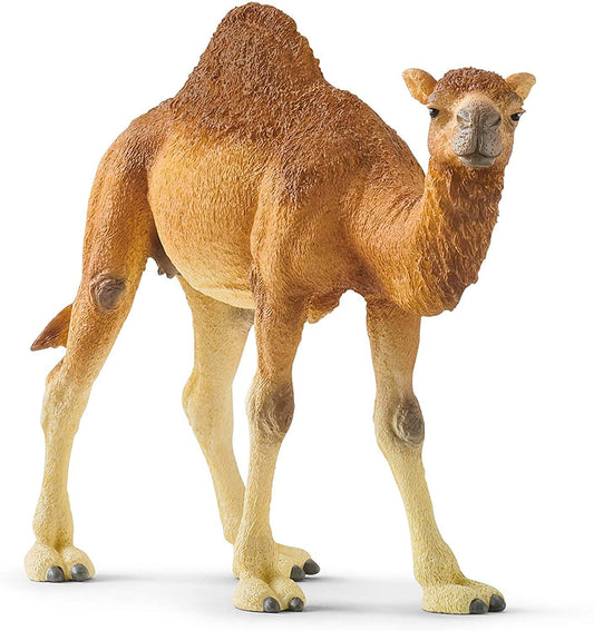 Schleich Dromedario toysvaldichiana.it 