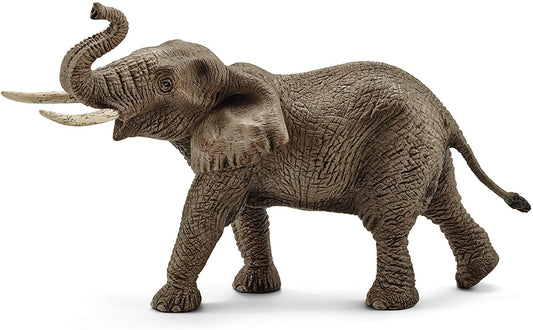 Schleich Elefante Africano Maschio toysvaldichiana.it 